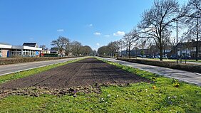 Van gazon naar bloemenweide