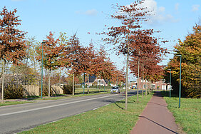 HERFST IN DE BELJAART Nieuw asfalt op Beljaartlaan zorgt voor minder geluid
