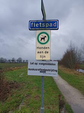 Waterschap plaatst valklemmen voor muskusratten in EVZ: houd uw hond aan de lijn