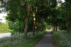 de ‘snelfietsroute’ de ‘snelfietsroute’