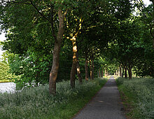 de ‘snelfietsroute’